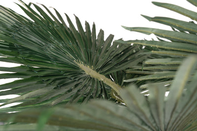 Palmier artificial H200cm Washingtonia. coroana D300cm cu protectie UV