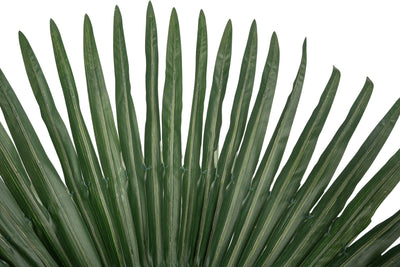 Palmier artificial H200cm Washingtonia. coroana D300cm cu protectie UV