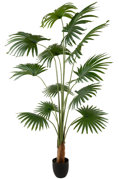 Palmier artificial H200cm Washingtonia cu 12 frunze cu protectie UV