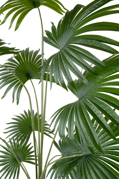 Palmier artificial H200cm Washingtonia cu 12 frunze cu protectie UV