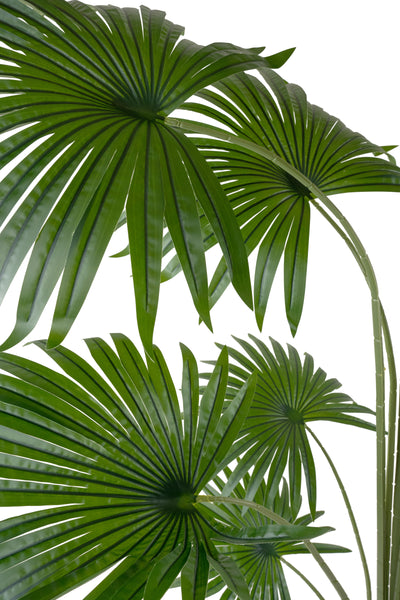 Palmier artificial H200cm Washingtonia cu 12 frunze cu protectie UV