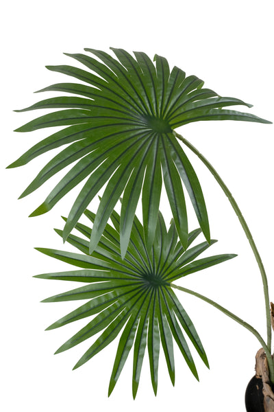 Palmier artificial H200cm Washingtonia cu 12 frunze cu protectie UV