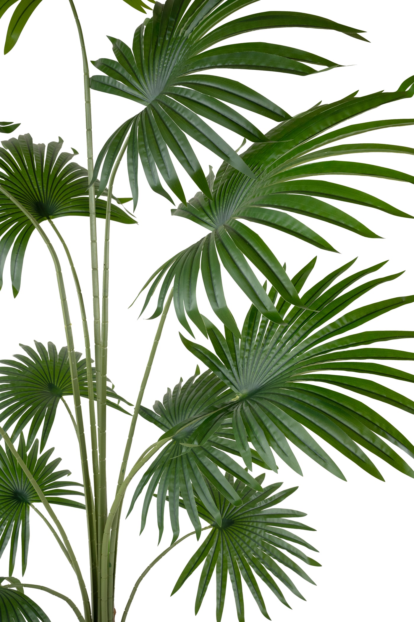 Palmier artificial H200cm Washingtonia cu 12 frunze cu protectie UV