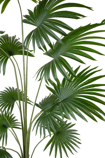 Palmier artificial H200cm Washingtonia cu 12 frunze cu protectie UV