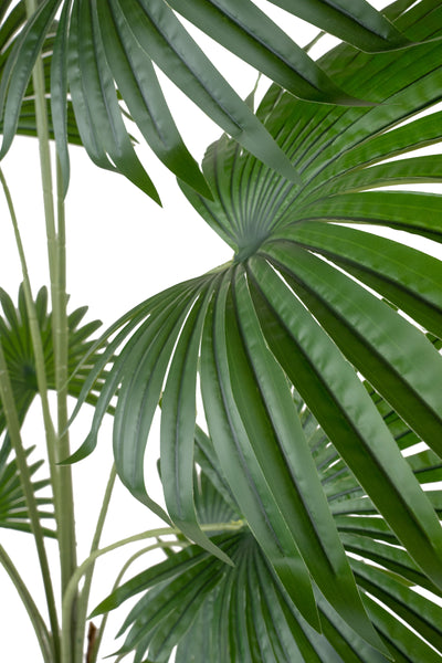 Palmier artificial H200cm Washingtonia cu 12 frunze cu protectie UV