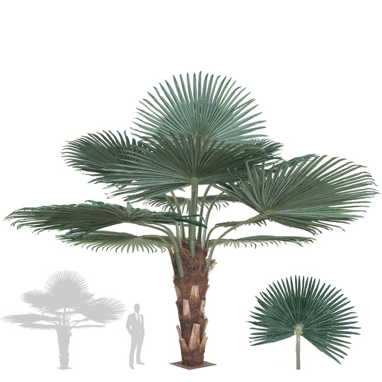 Palmier artificial H200cm Washingtonia cu trunchi natural. coroana D300cm cu protectie UV