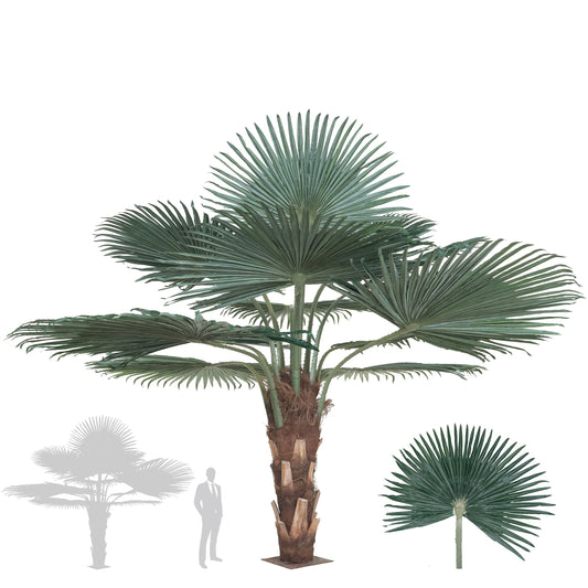 Palmier artificial H200cm Washingtonia cu trunchi natural. coroana D300cm cu protectie UV