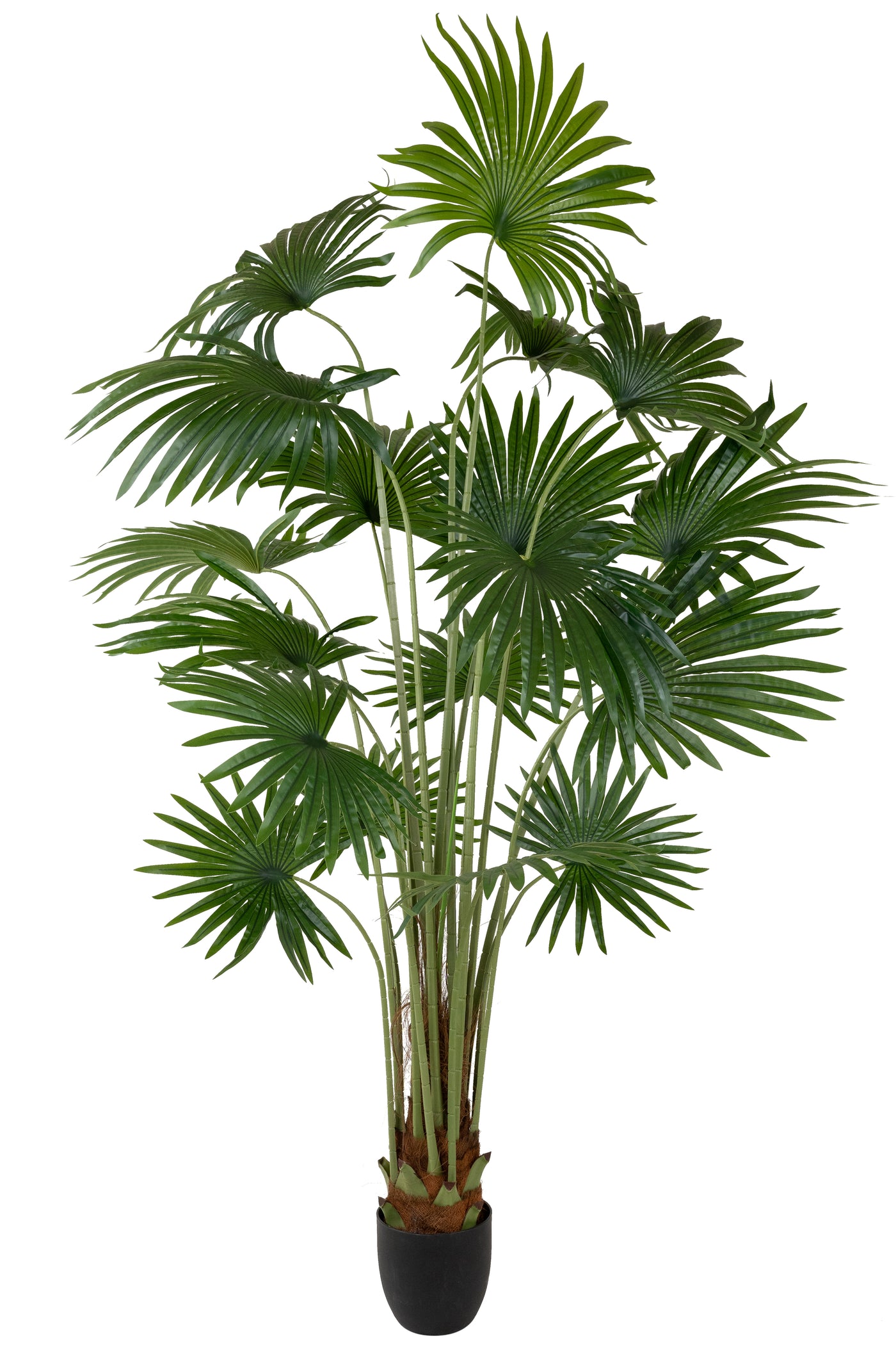 Palmier artificial H200cm Washingtonia robusta cu 18 frunze cu protectie UV