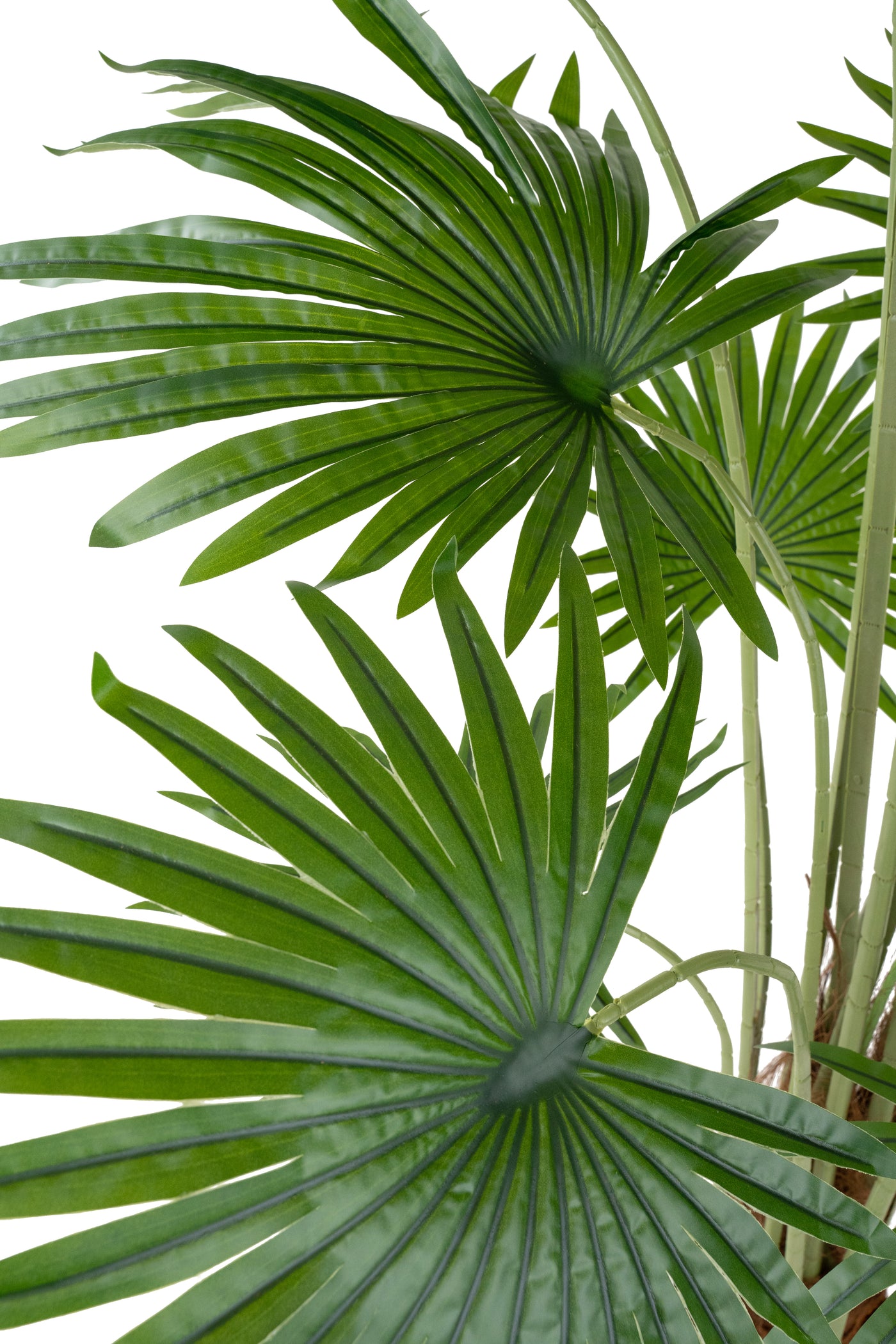 Palmier artificial H200cm Washingtonia robusta cu 18 frunze cu protectie UV