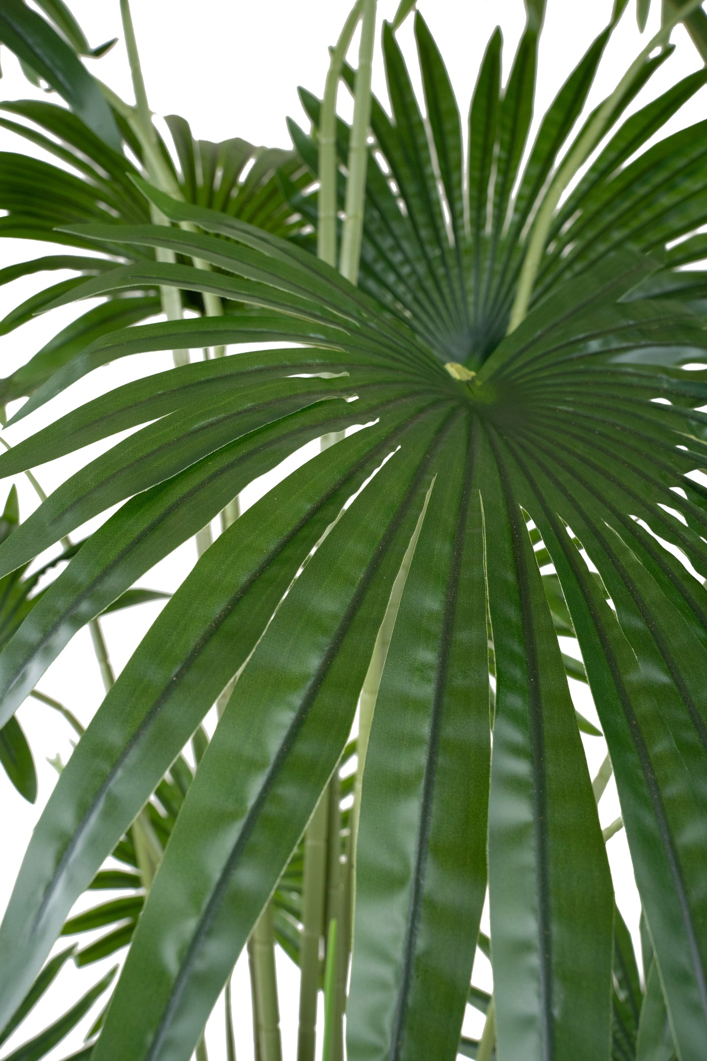 Palmier artificial H200cm Washingtonia robusta cu 18 frunze cu protectie UV