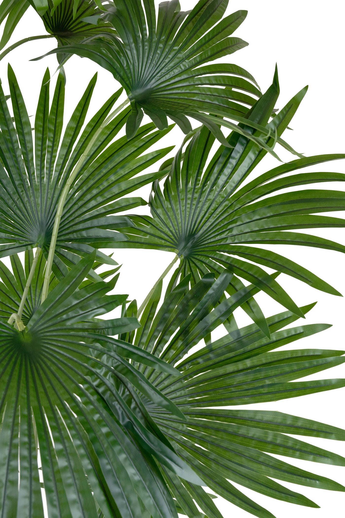 Palmier artificial H200cm Washingtonia robusta cu 18 frunze cu protectie UV
