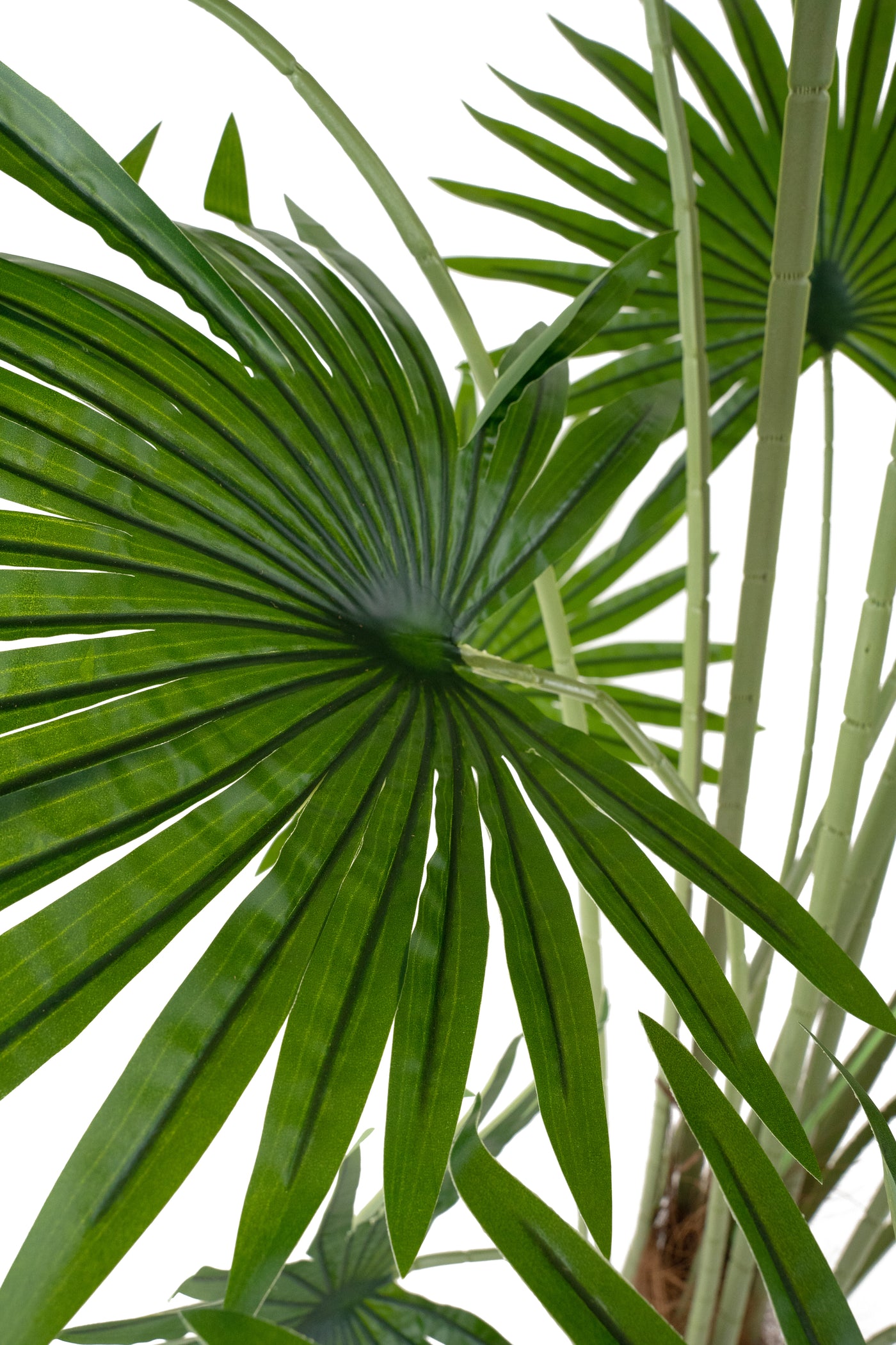 Palmier artificial H200cm Washingtonia robusta cu 18 frunze cu protectie UV