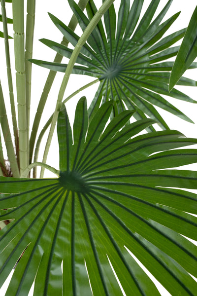 Palmier artificial H200cm Washingtonia robusta cu 18 frunze cu protectie UV