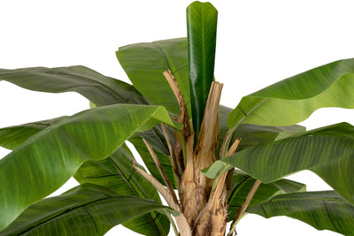 Palmier artificial H210cm Banan cu 13 frunze