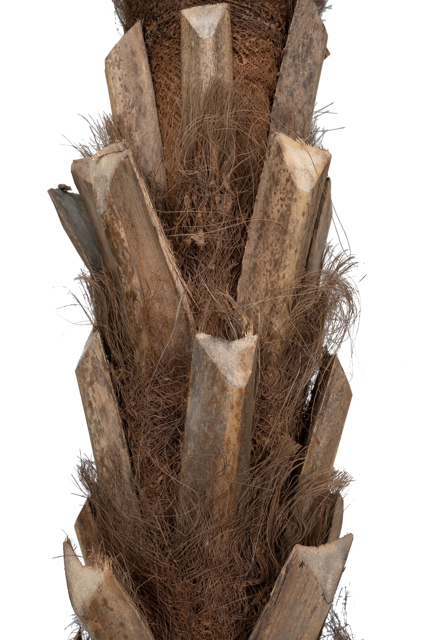 Palmier artificial H210cm Cycas cu 30 frunze cu protectie UV