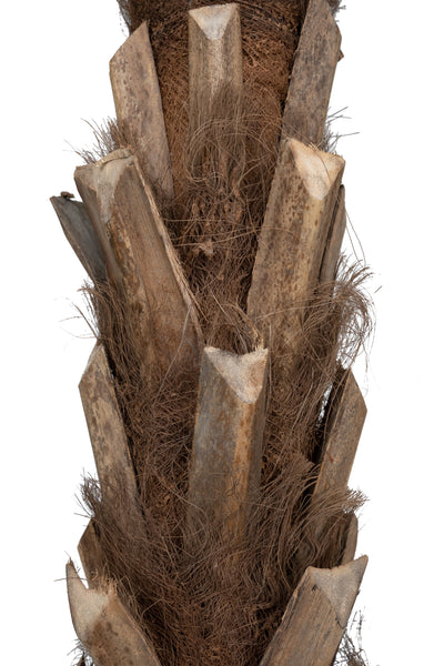 Palmier artificial H210cm Cycas cu 30 frunze cu protectie UV
