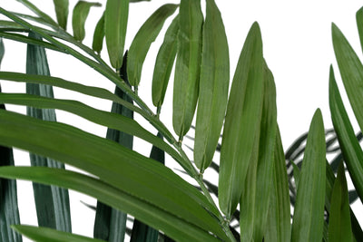 Palmier artificial H210cm Kentia cu 24 frunze