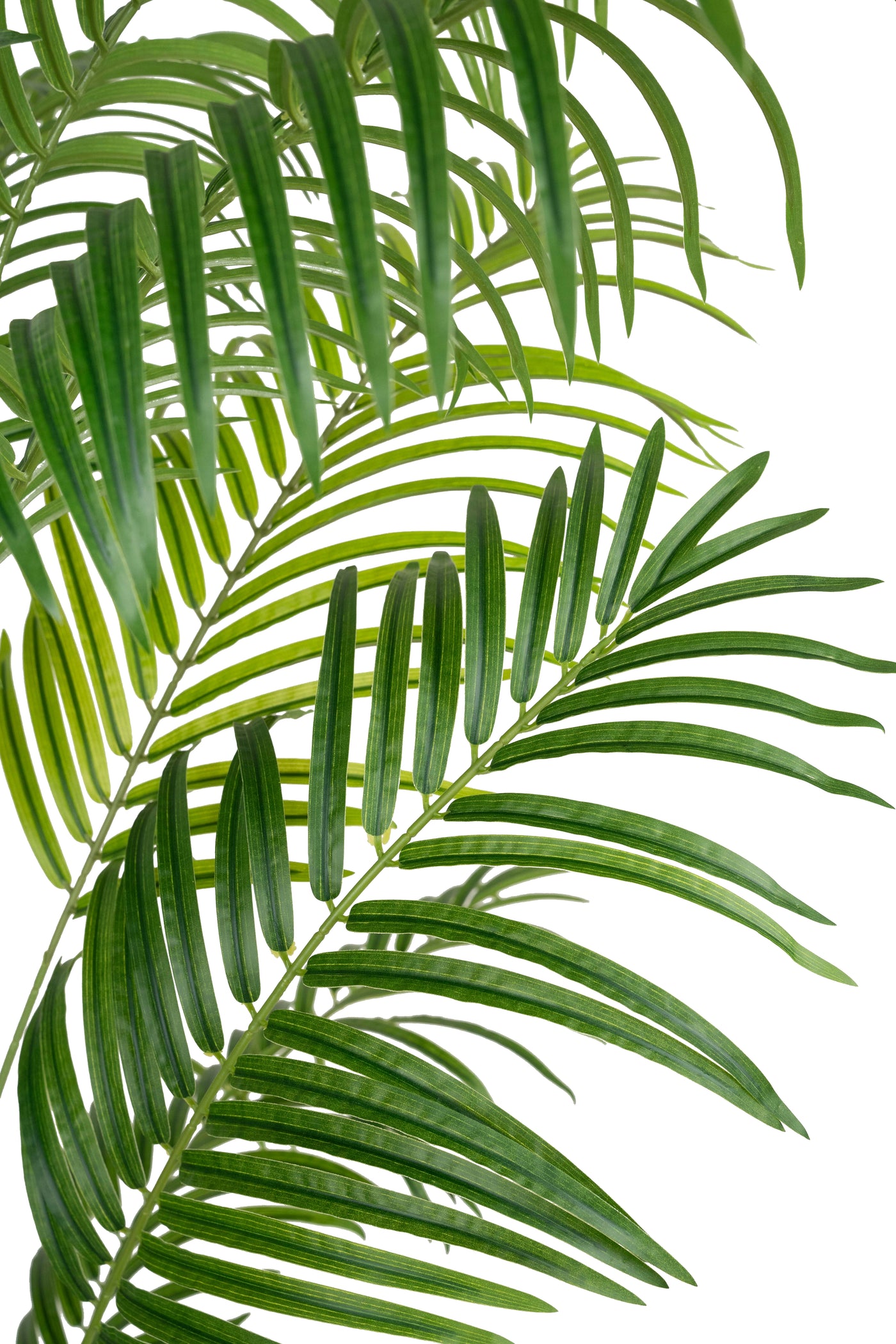 Palmier artificial H210cm Lady palm cu 18 tulpini si 18 frunze