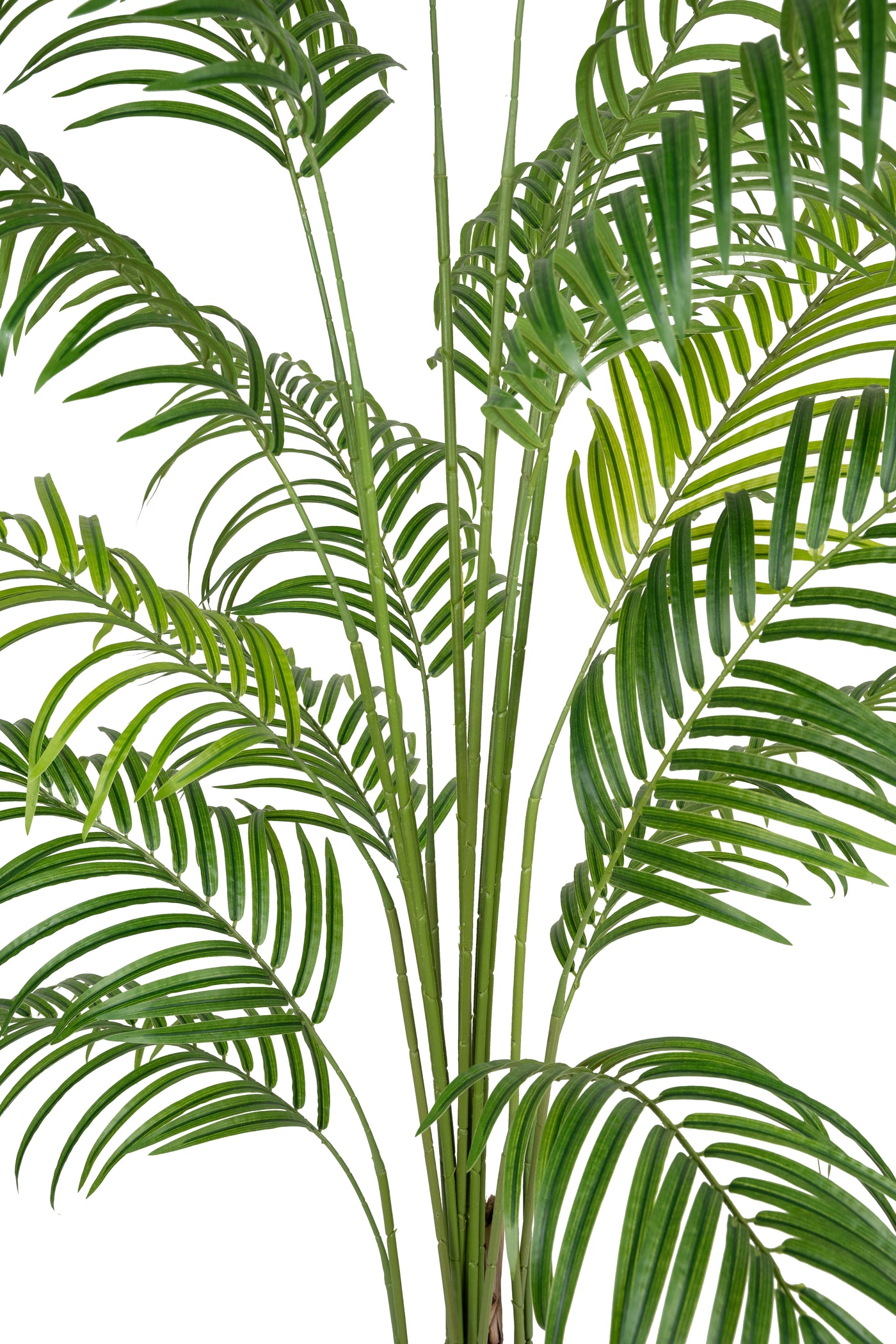 Palmier artificial H210cm Lady palm cu 18 tulpini si 18 frunze