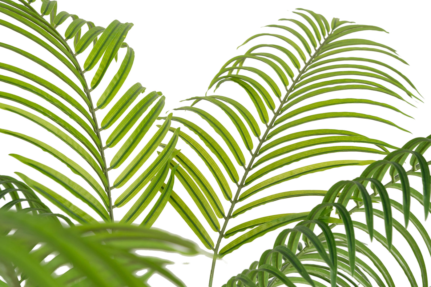 Palmier artificial H210cm Lady palm cu 18 tulpini si 18 frunze