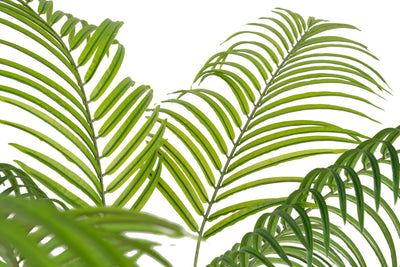 Palmier artificial H210cm Lady palm cu 18 tulpini si 18 frunze