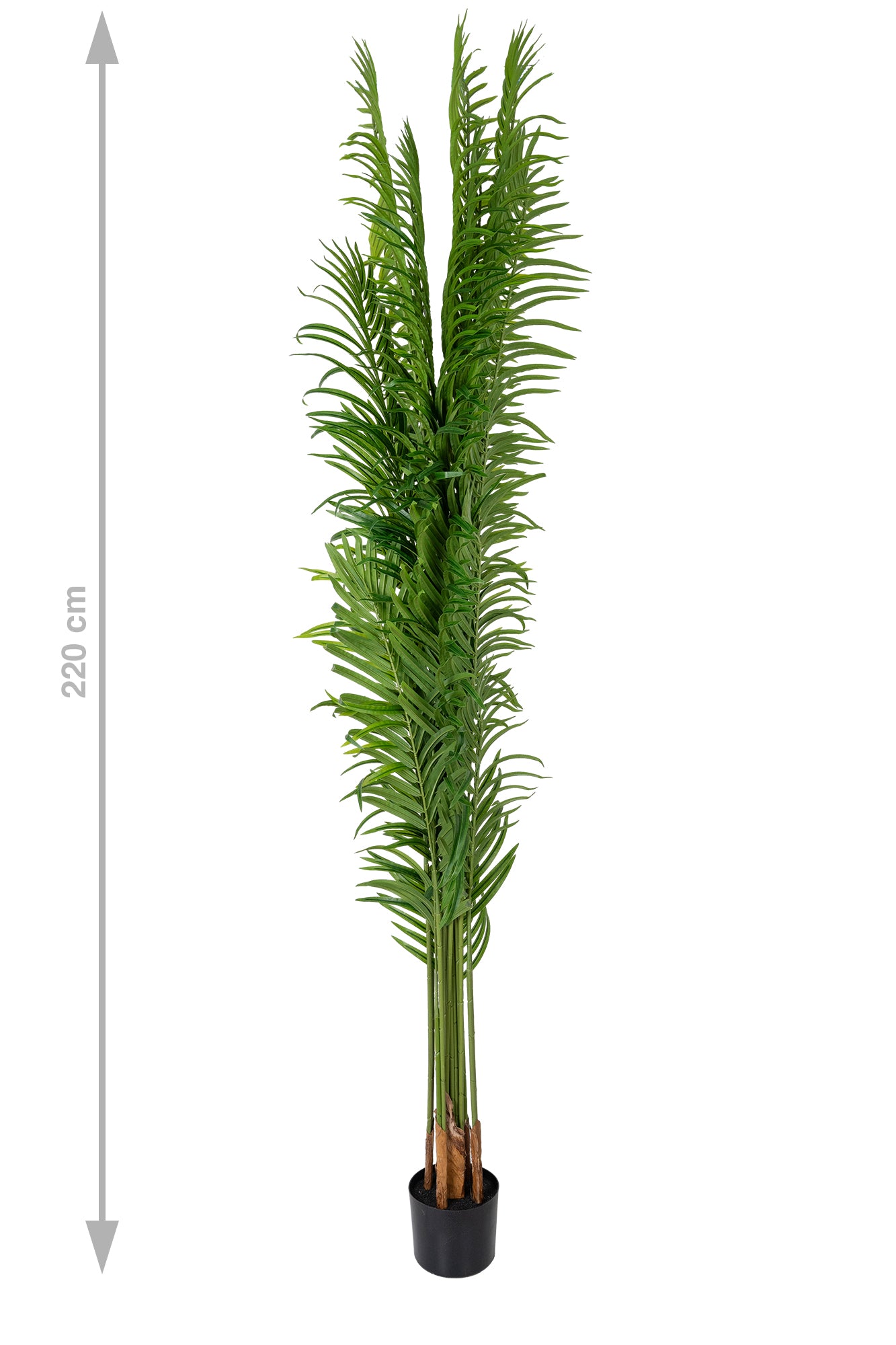 Palmier artificial H210cm Lady palm cu 21 tulpini si 21 frunze