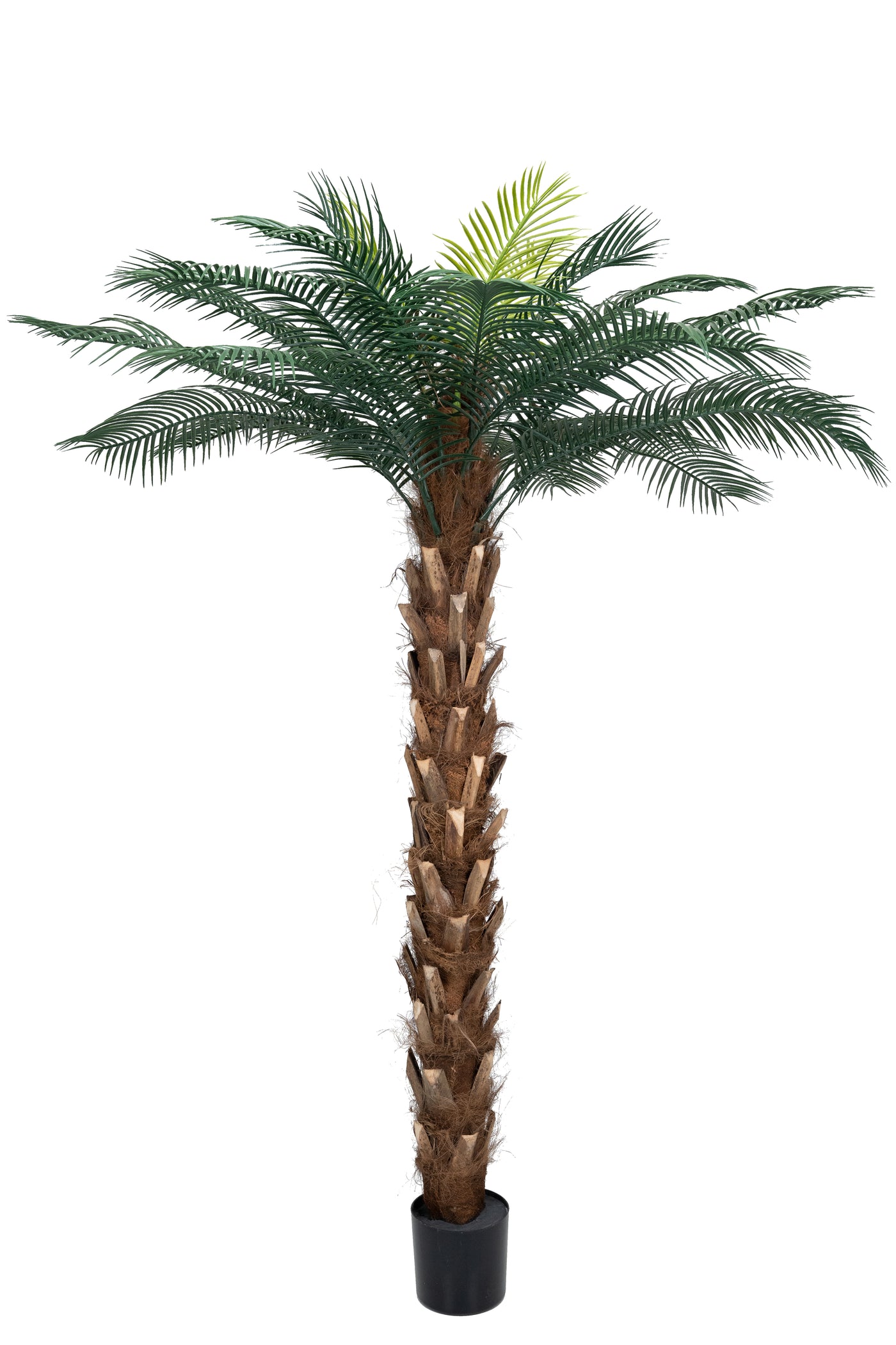 Palmier artificial H210cm Phoenix roebelenii cu 24 frunze cu protectie UV