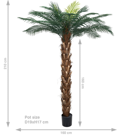 Palmier artificial H210cm Phoenix roebelenii cu 24 frunze cu protectie UV