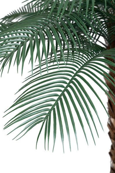 Palmier artificial H210cm Phoenix roebelenii cu 24 frunze cu protectie UV