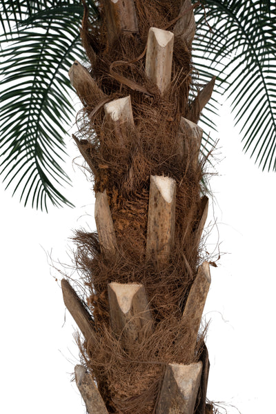 Palmier artificial H210cm Phoenix roebelenii cu 24 frunze cu protectie UV