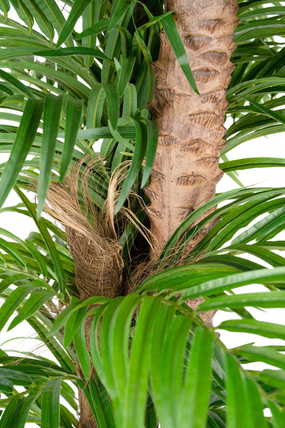 Palmier artificial H210cm Phoenix roebelenii cu 42 frunze