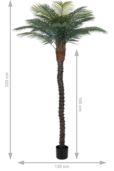 Palmier artificial H220cm Phoenix roebelenii