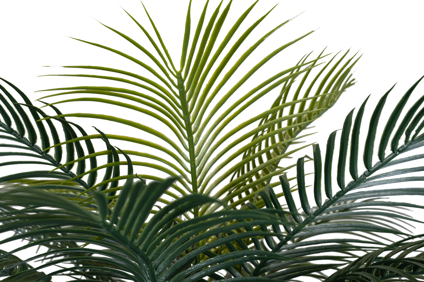 Palmier artificial H220cm Phoenix roebelenii