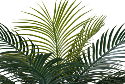 Palmier artificial H220cm Phoenix roebelenii