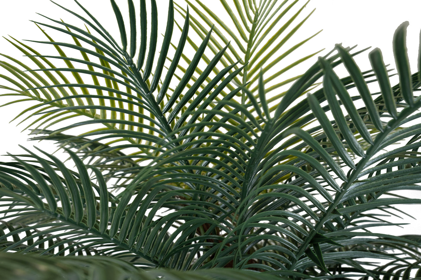 Palmier artificial H220cm Phoenix roebelenii