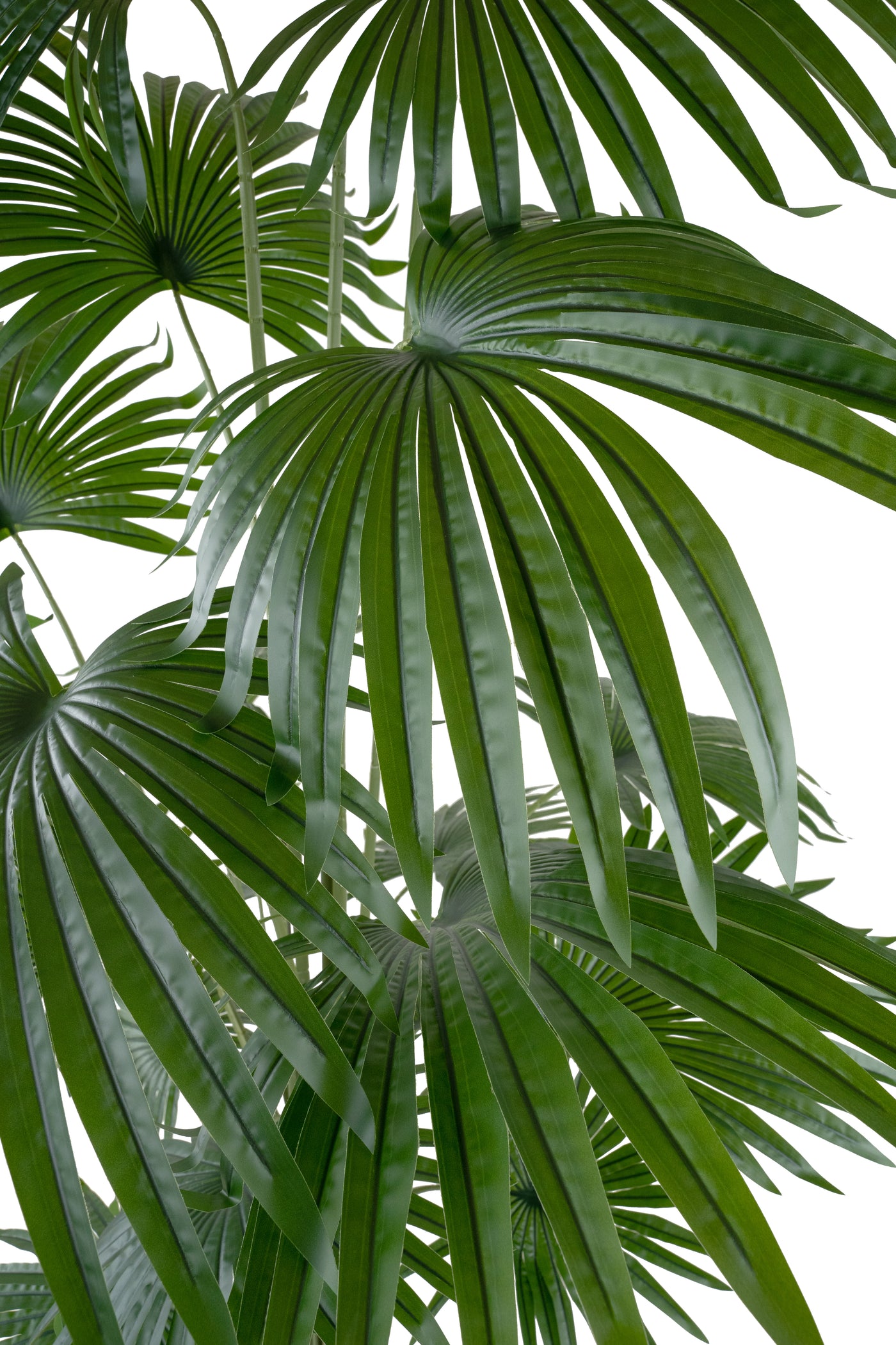Palmier artificial H220cm Washingtonia cu 20 frunze cu protectie UV