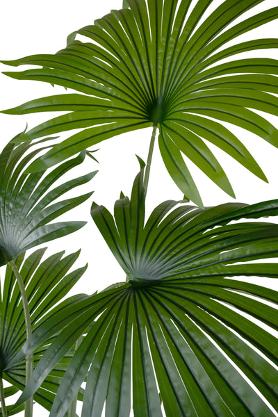 Palmier artificial H220cm Washingtonia cu 20 frunze cu protectie UV