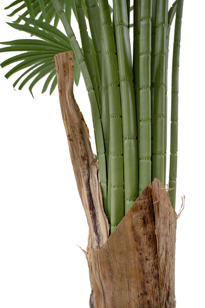 Palmier artificial H220cm Washingtonia cu 20 frunze cu protectie UV