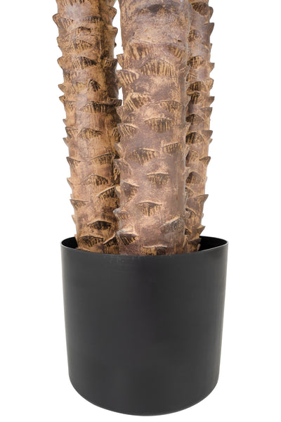 Palmier artificial H230cm Phoenix roebelenii