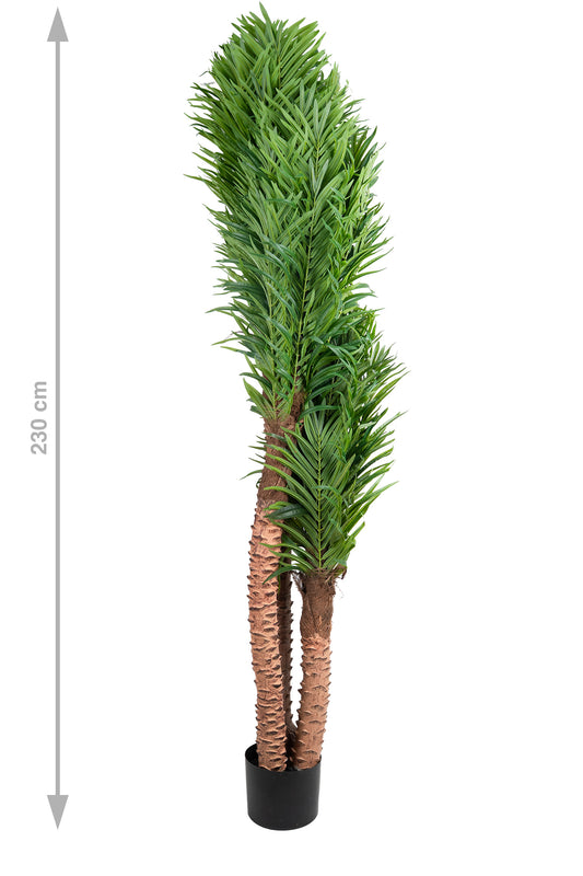 Palmier artificial H230cm Phoenix roebelenii