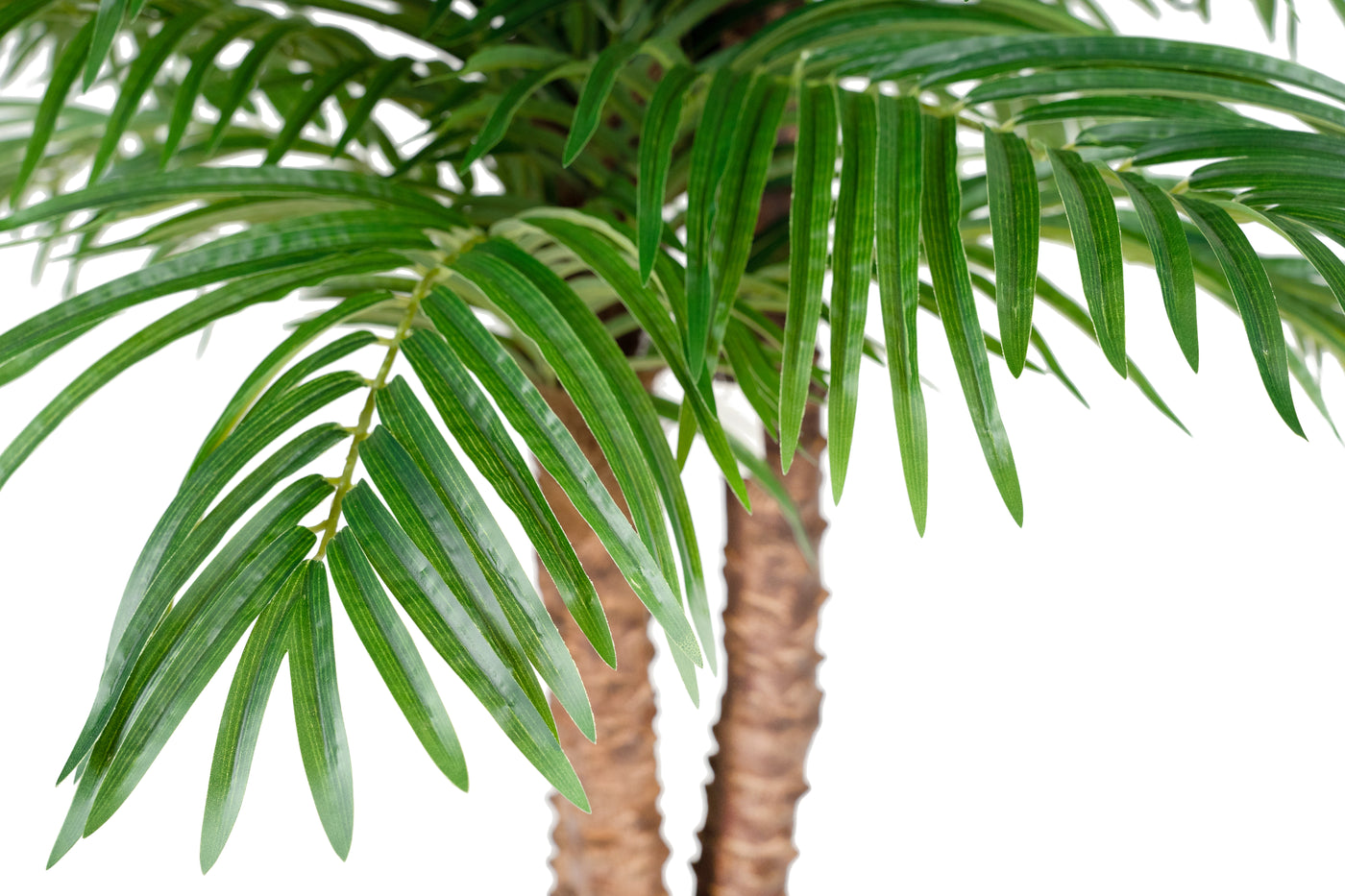 Palmier artificial H230cm Phoenix roebelenii