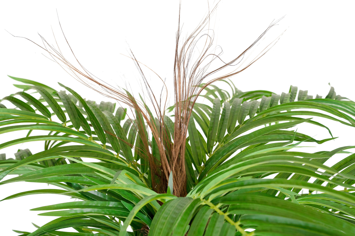 Palmier artificial H230cm Phoenix roebelenii