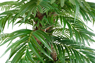 Palmier artificial H230cm Phoenix roebelenii