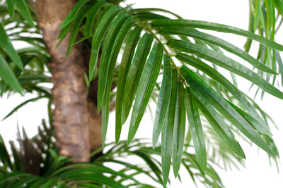 Palmier artificial H230cm Phoenix roebelenii