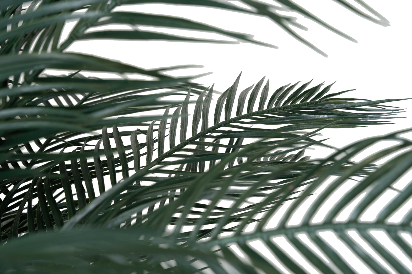 Palmier artificial H230cm Phoenix roebelenii cu 30 frunze cu protectie UV