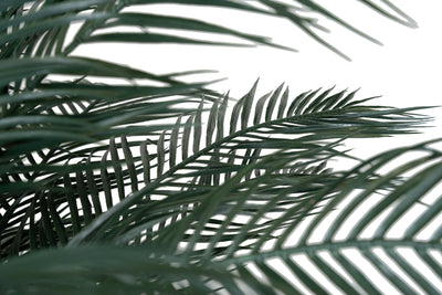 Palmier artificial H230cm Phoenix roebelenii cu 30 frunze cu protectie UV