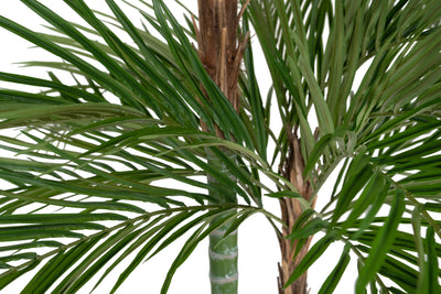 Palmier artificial H240cm Areca De Luxe cu 2 trunchiuri