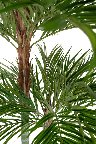 Palmier artificial H240cm Areca De Luxe cu 2 trunchiuri