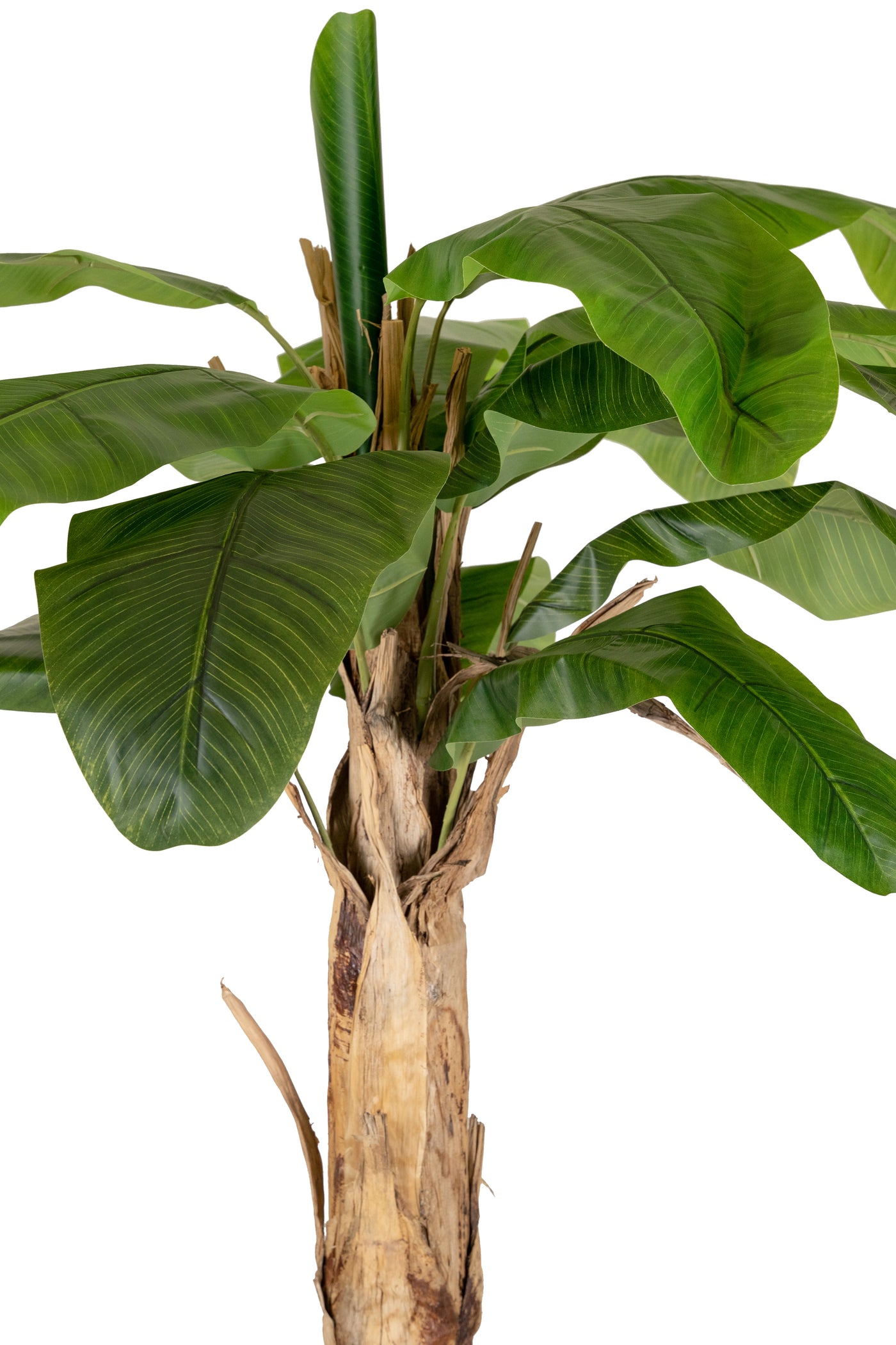 Palmier artificial H240cm Banan cu 16 frunze