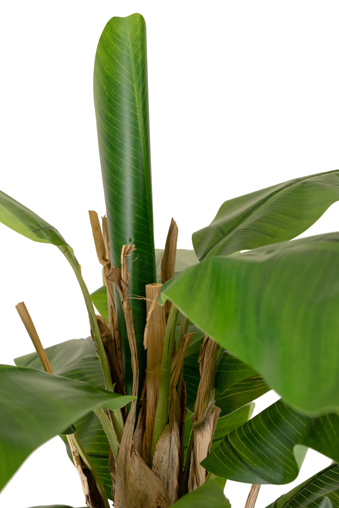 Palmier artificial H240cm Banan cu 16 frunze